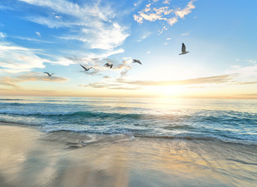 ferielukket uge 7.jpg